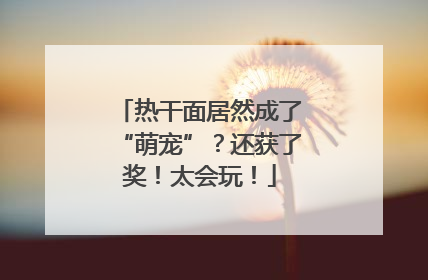 热干面居然成了“萌宠”？还获了奖！太会玩！
