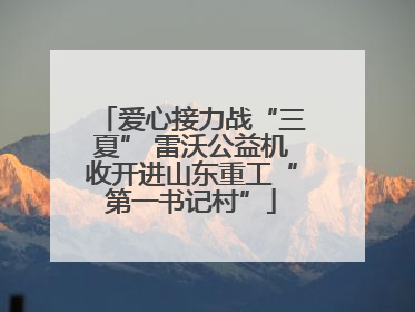 爱心接力战“三夏” 雷沃公益机收开进山东重工“第一书记村”