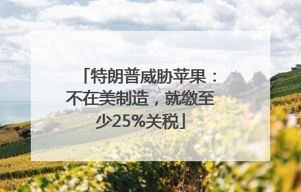 特朗普威胁苹果：不在美制造，就缴至少25%关税
