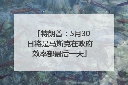 特朗普：5月30日将是马斯克在政府效率部最后一天