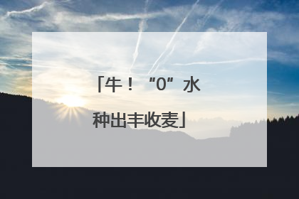 牛！“0”水种出丰收麦