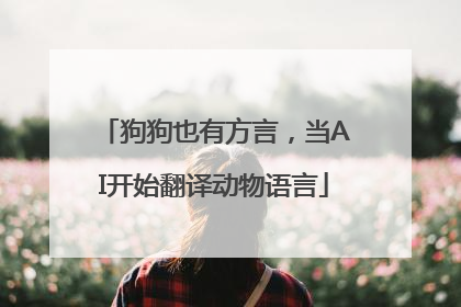 狗狗也有方言，当AI开始翻译动物语言