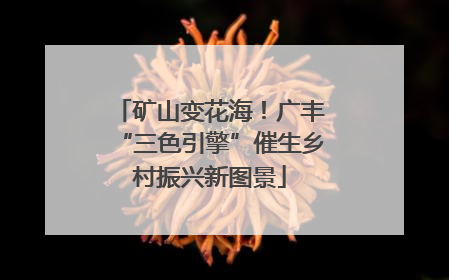 矿山变花海！广丰“三色引擎”催生乡村振兴新图景