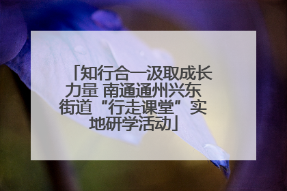 知行合一汲取成长力量 南通通州兴东街道“行走课堂”实地研学活动