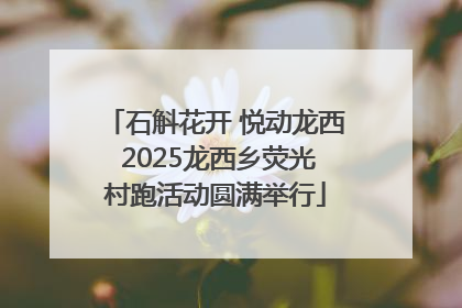 石斛花开 悦动龙西 2025龙西乡荧光村跑活动圆满举行