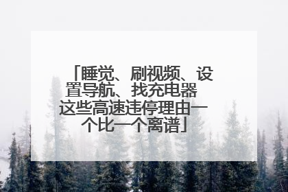 睡觉、刷视频、设置导航、找充电器 这些高速违停理由一个比一个离谱