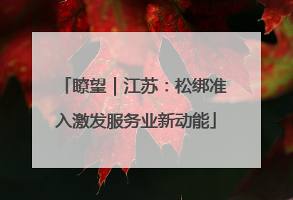 瞭望｜江苏：松绑准入激发服务业新动能