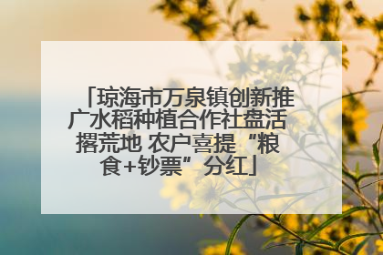 琼海市万泉镇创新推广水稻种植合作社盘活撂荒地 农户喜提“粮食+钞票”分红