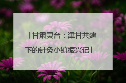 甘肃灵台：津甘共建下的针灸小镇振兴记