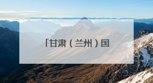 甘肃（兰州）国际陆港党工委委员、管委会主任李建亮接受审查调查