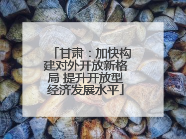 甘肃：加快构建对外开放新格局 提升开放型经济发展水平