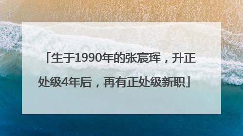 生于1990年的张宸珲，升正处级4年后，再有正处级新职