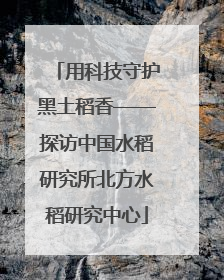 用科技守护黑土稻香——探访中国水稻研究所北方水稻研究中心