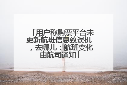 用户称购票平台未更新航班信息致误机，去哪儿：航班变化由航司通知