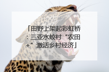 田野上架起彩虹桥：三亚水蛟村“农田+”激活乡村经济