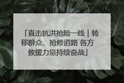 直击抗洪抢险一线｜转移群众、抢修道路 各方救援力量持续奋战
