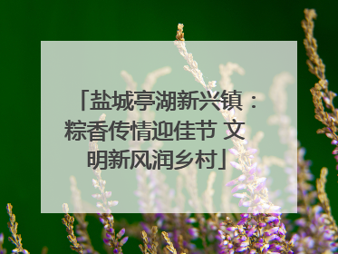 盐城亭湖新兴镇：粽香传情迎佳节 文明新风润乡村