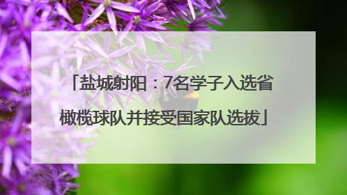 盐城射阳：7名学子入选省橄榄球队并接受国家队选拔