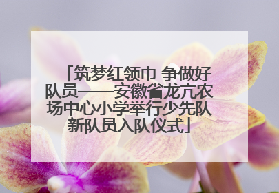 筑梦红领巾 争做好队员——安徽省龙亢农场中心小学举行少先队新队员入队仪式