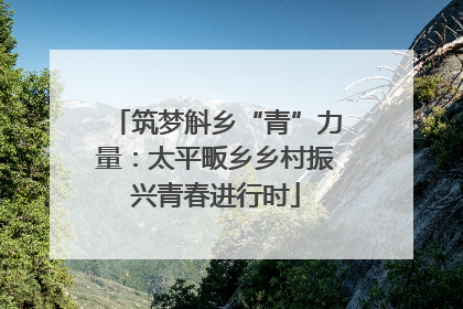 筑梦斛乡“青”力量：太平畈乡乡村振兴青春进行时