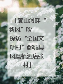 箕山河畔“新风”吹——探访“全国文明村”鄄城县凤凰镇酒店张村