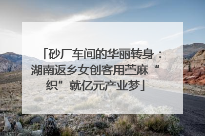 砂厂车间的华丽转身：湖南返乡女创客用苎麻“织”就亿元产业梦