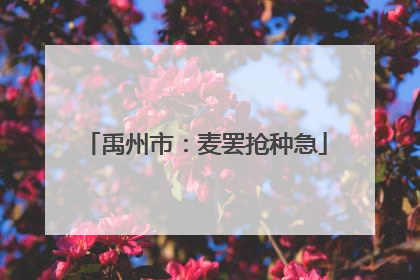 禹州市：麦罢抢种急