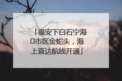 福安下白石宁海⇆市区金蛇头，海上直达航线开通