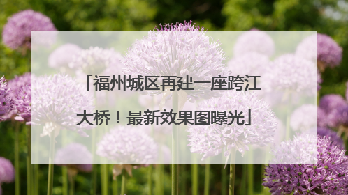 福州城区再建一座跨江大桥！最新效果图曝光