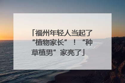福州年轻人当起了“植物家长”！“种草植男”家亮了