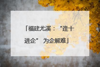 福建尤溪：“逢十进企” 为企解难