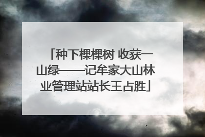 种下棵棵树 收获一山绿——记牟家大山林业管理站站长王占胜