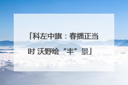 科左中旗：春播正当时 沃野绘“丰”景