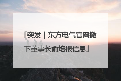 突发｜东方电气官网撤下董事长俞培根信息