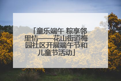 童乐端午 粽享邻里情——花山街道梅园社区开展端午节和儿童节活动