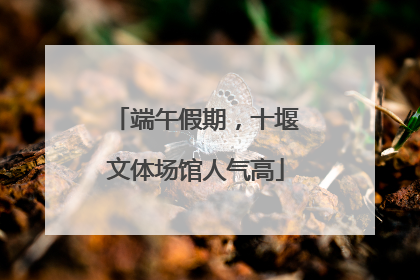 端午假期，十堰文体场馆人气高