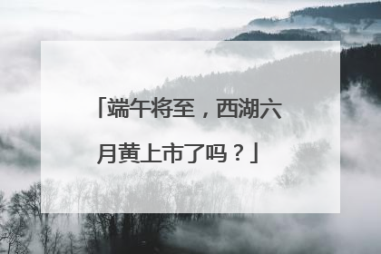 端午将至，西湖六月黄上市了吗？
