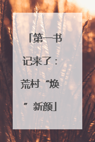 第一书记来了：荒村“焕”新颜