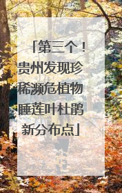 第三个！贵州发现珍稀濒危植物睡莲叶杜鹃新分布点