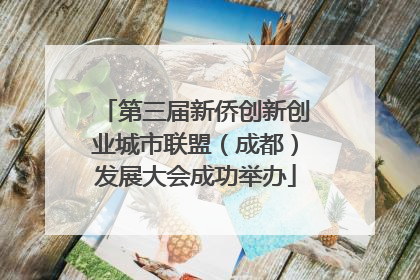 第三届新侨创新创业城市联盟（成都）发展大会成功举办