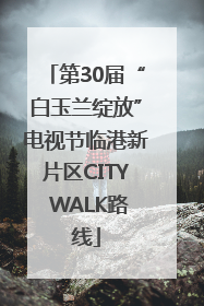 第30届“白玉兰绽放”电视节临港新片区CITY WALK路线