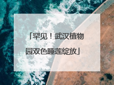 罕见！武汉植物园双色睡莲绽放