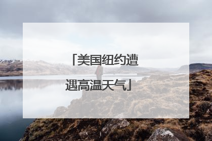 美国纽约遭遇高温天气