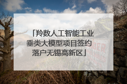 羚数人工智能工业垂类大模型项目签约落户无锡高新区