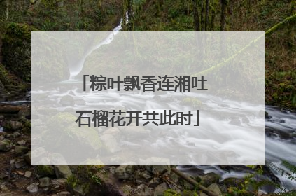 粽叶飘香连湘吐 石榴花开共此时