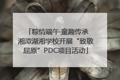 粽情端午·童趣传承 湘潭湖湘学校开展“致敬屈原”PDC项目活动