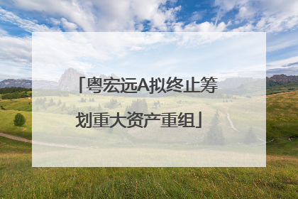 粤宏远A拟终止筹划重大资产重组