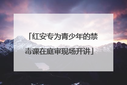 红安专为青少年的禁毒课在庭审现场开讲