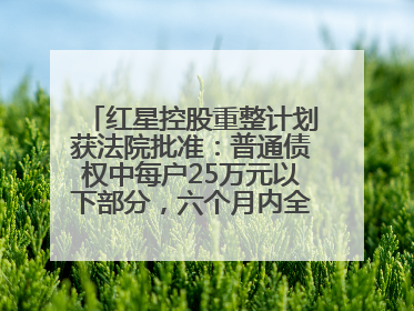 红星控股重整计划获法院批准：普通债权中每户25万元以下部分，六个月内全额现金清偿