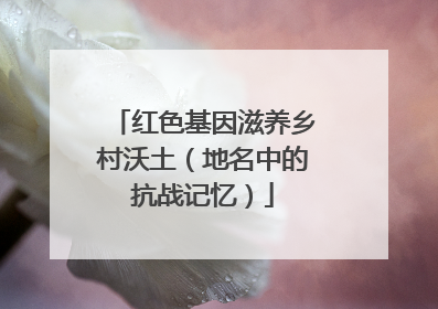 红色基因滋养乡村沃土（地名中的抗战记忆）